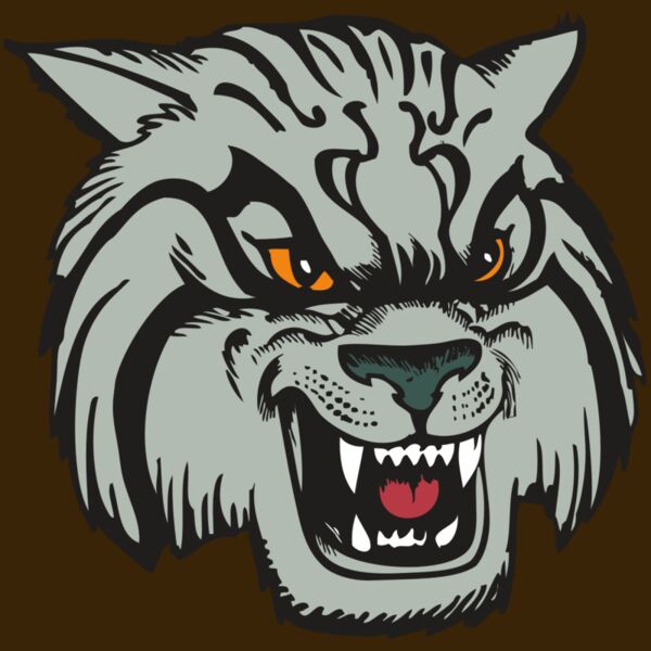 BAW WILDCAT 03 RC Thumbnail