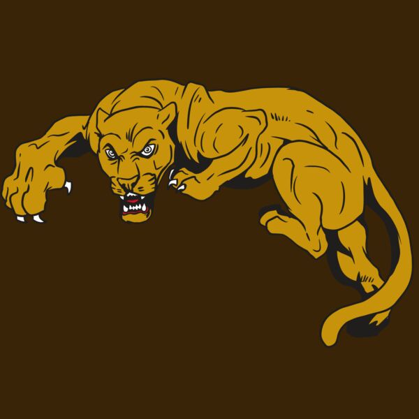 AR10 PANTHER 02 RQC Thumbnail