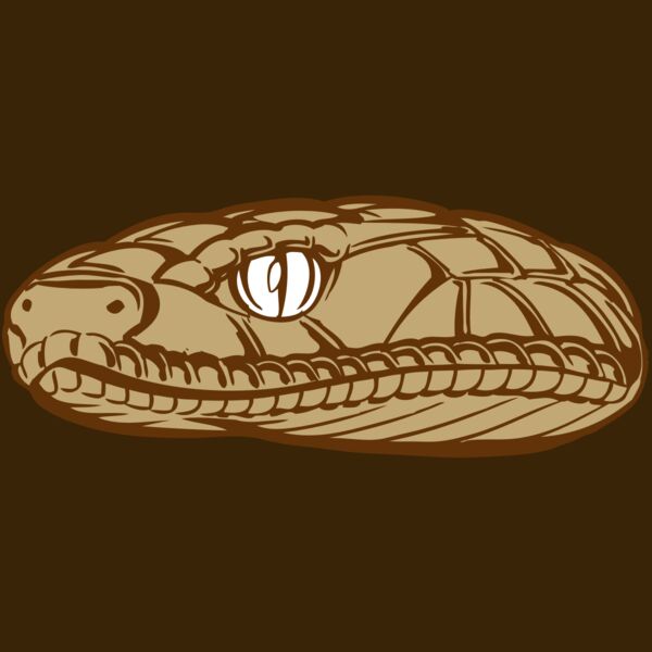 BAW SNAKE 12 RC Thumbnail