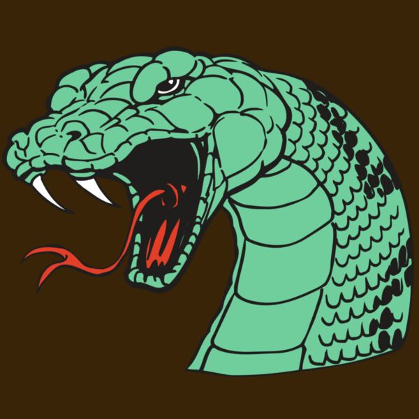 AR SNAKE 10 RC Thumbnail