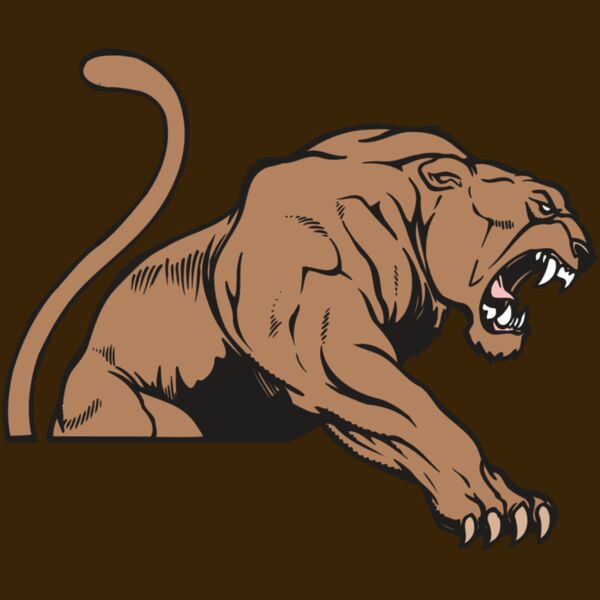 AR COUGAR 55 RC Thumbnail