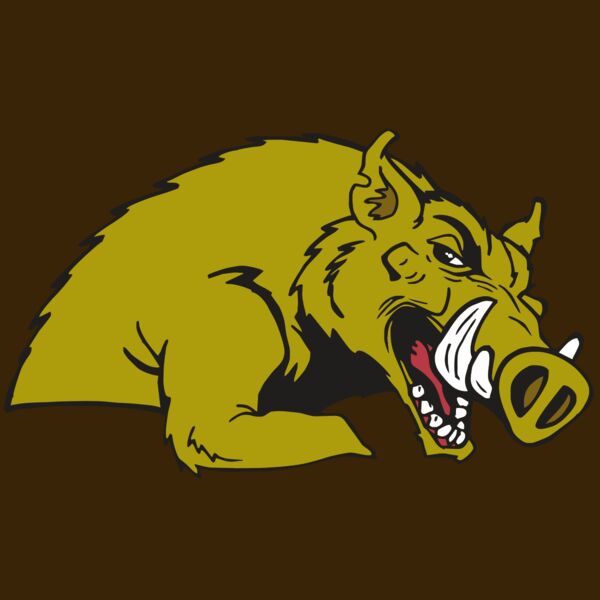 AR RAZORBACK 23 RC Thumbnail