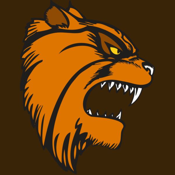 BAW WILDCAT 08 RC Thumbnail