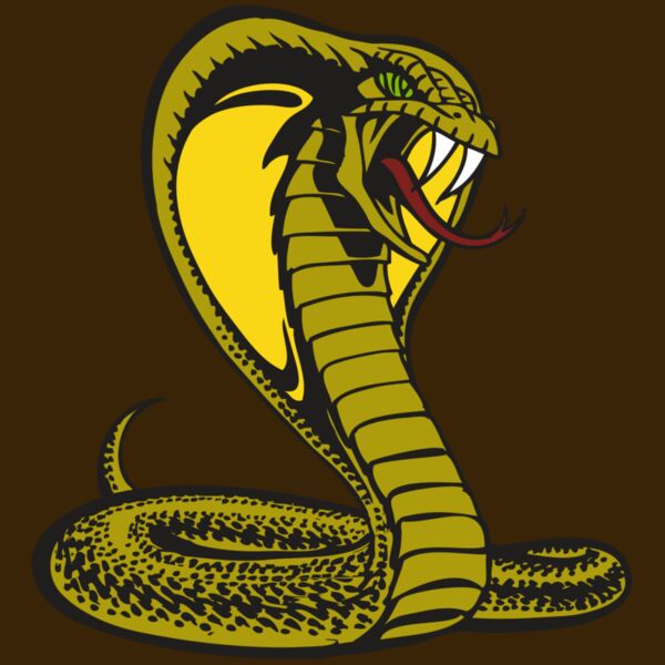 BAW SNAKE 02 RC Thumbnail