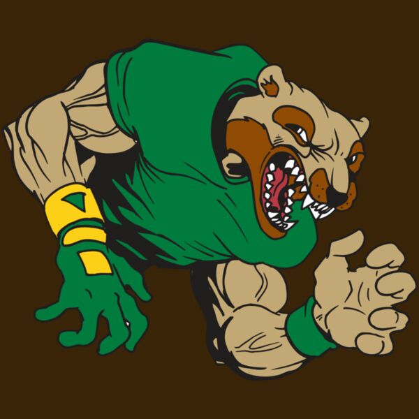 AR5 Wolverine 17 RQC Thumbnail