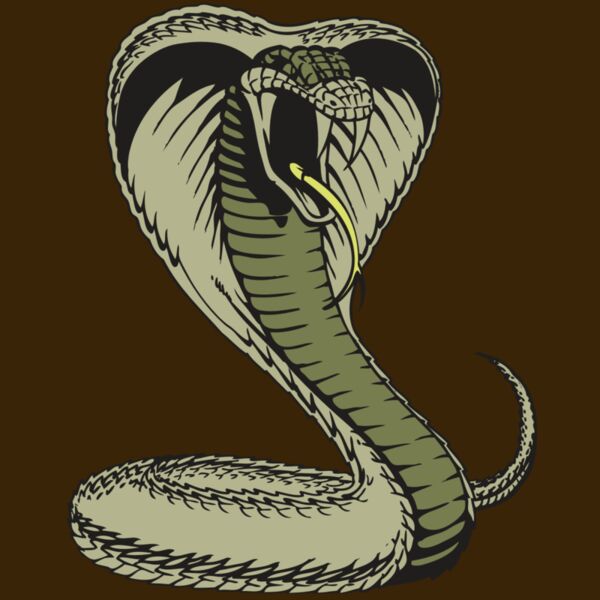 BAW SNAKE 07 RC Thumbnail