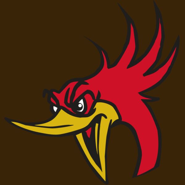 AR31 ROADRUNNER 02 RQC Thumbnail