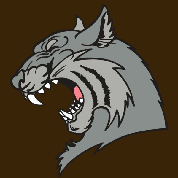 AR WILDCAT 41 RC Thumbnail