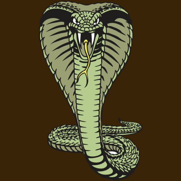 BAW SNAKE 15 RC Thumbnail