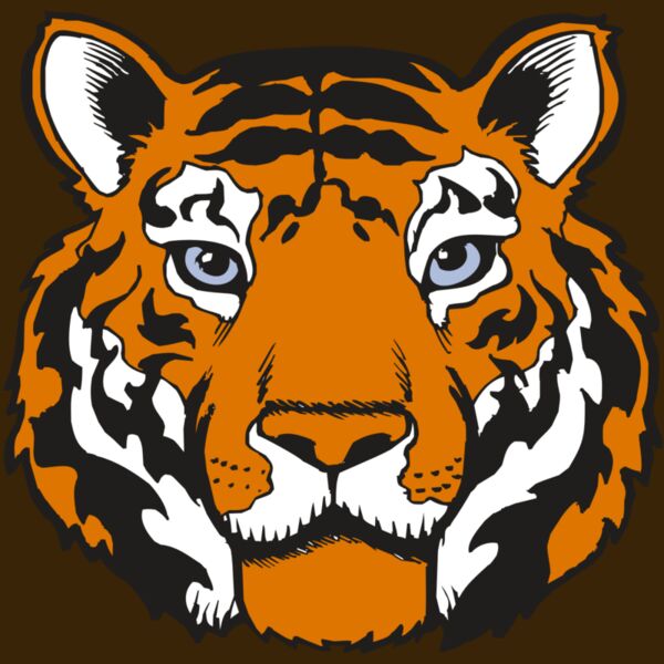 BAW TIGER 02 RC Thumbnail