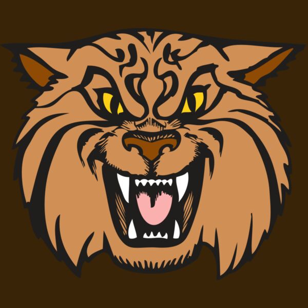 BAW WILDCAT 04 RC Thumbnail