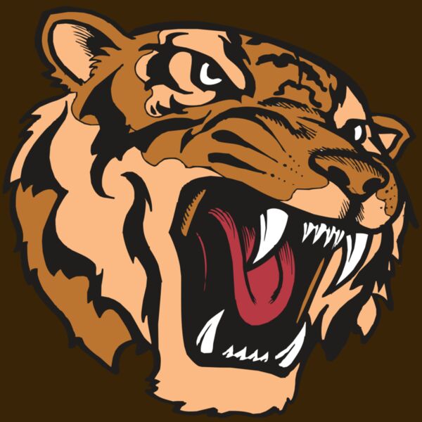 BAW TIGER 07 RC Thumbnail