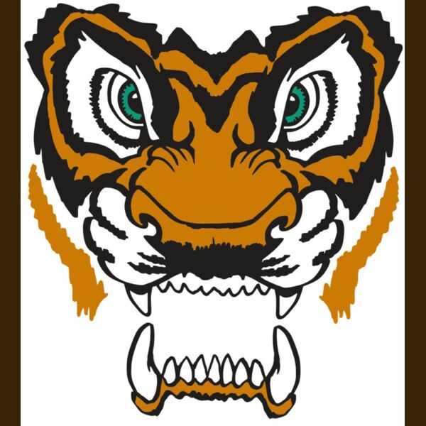 AR TIGER 11 RC Thumbnail