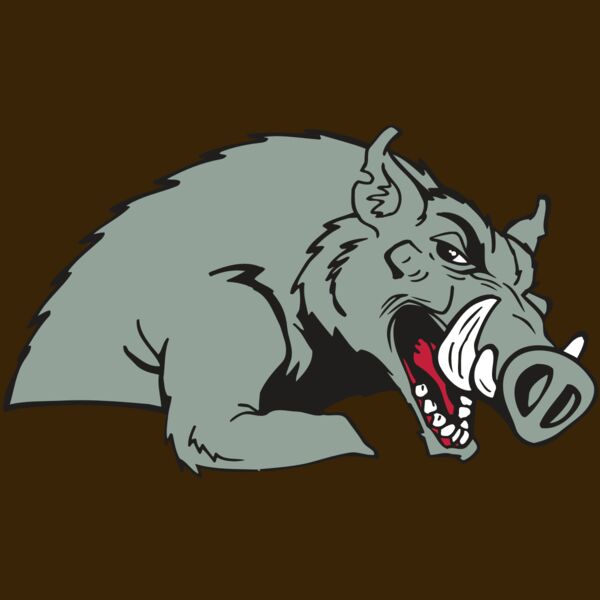 AR RAZORBACK 14 RC Thumbnail