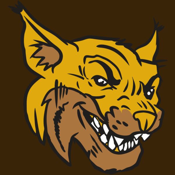 AR15 WILDCAT 01 RQC Thumbnail