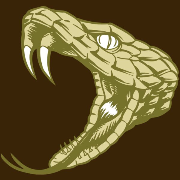 BAW SNAKE 11 RC Thumbnail