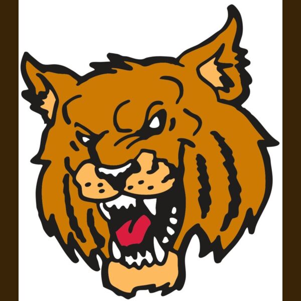 AR WILDCAT 36 RC Thumbnail