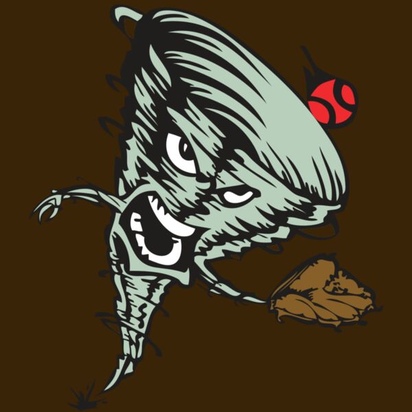 BAW STORM 09 RC Thumbnail