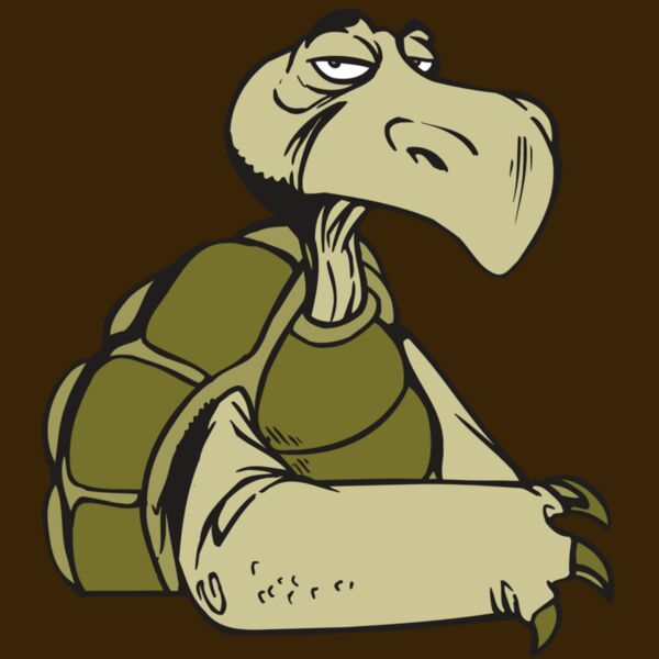 AR5 Turtle 01 RQC Thumbnail