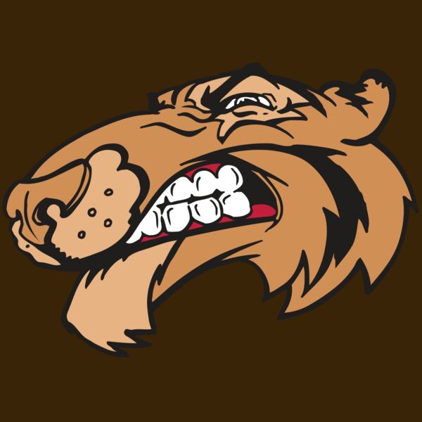 AR5 Tiger 13 RQC Thumbnail